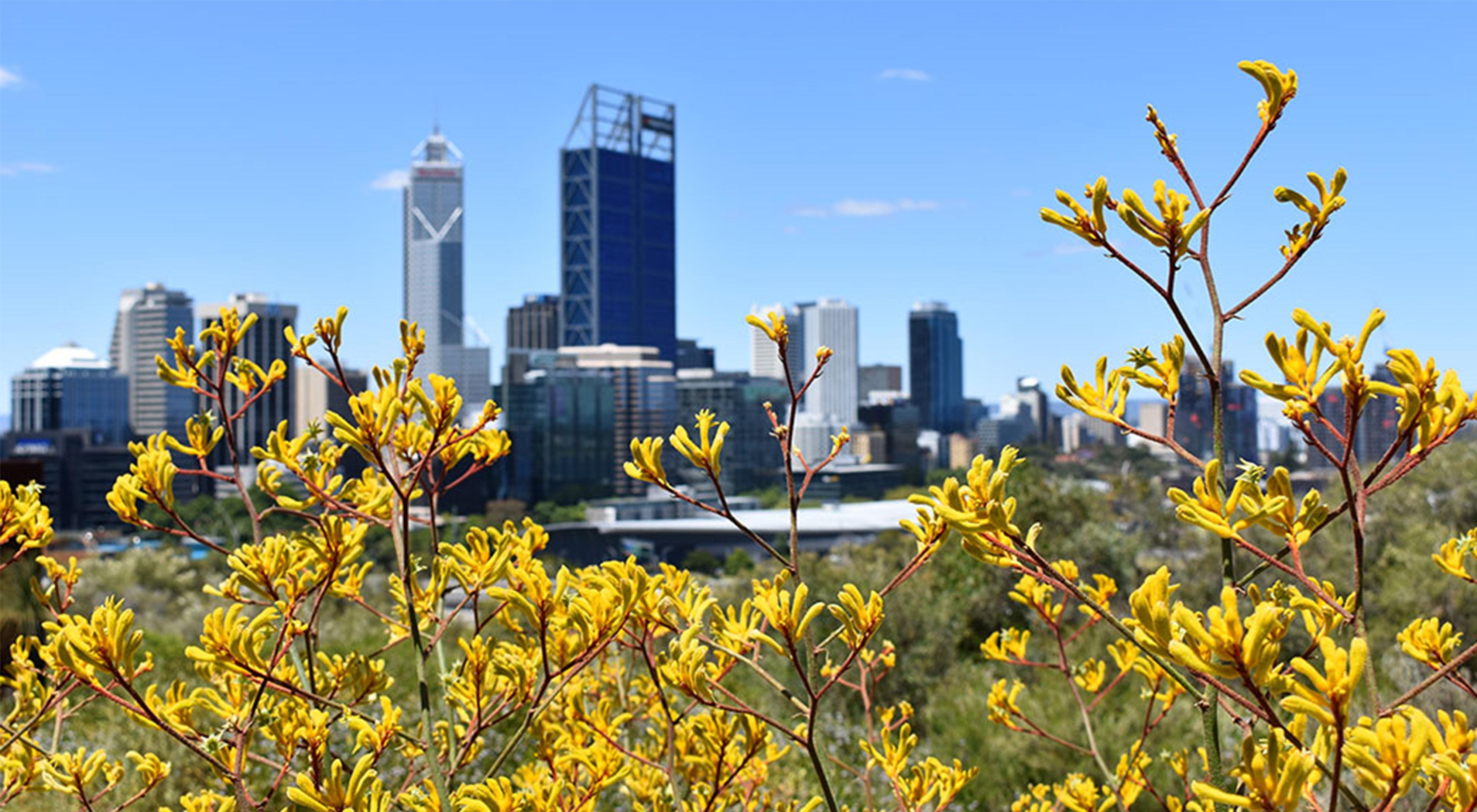 Holiday Inn Perth City Centre By Ihg Екстериор снимка